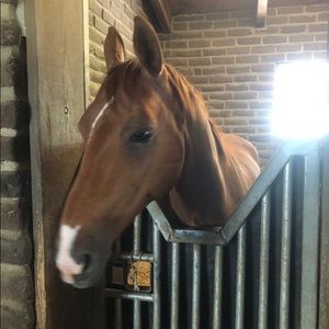 Meet your Posher, Meredith